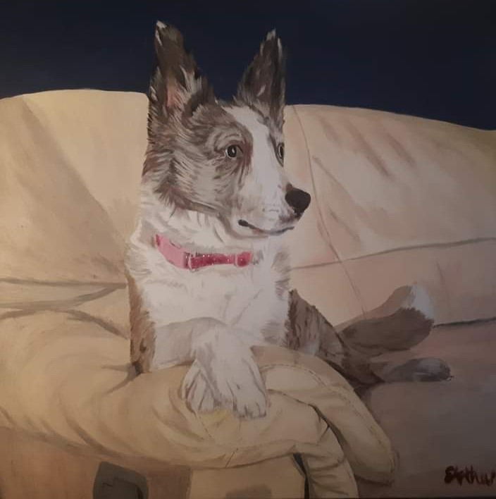 Pet portraits
