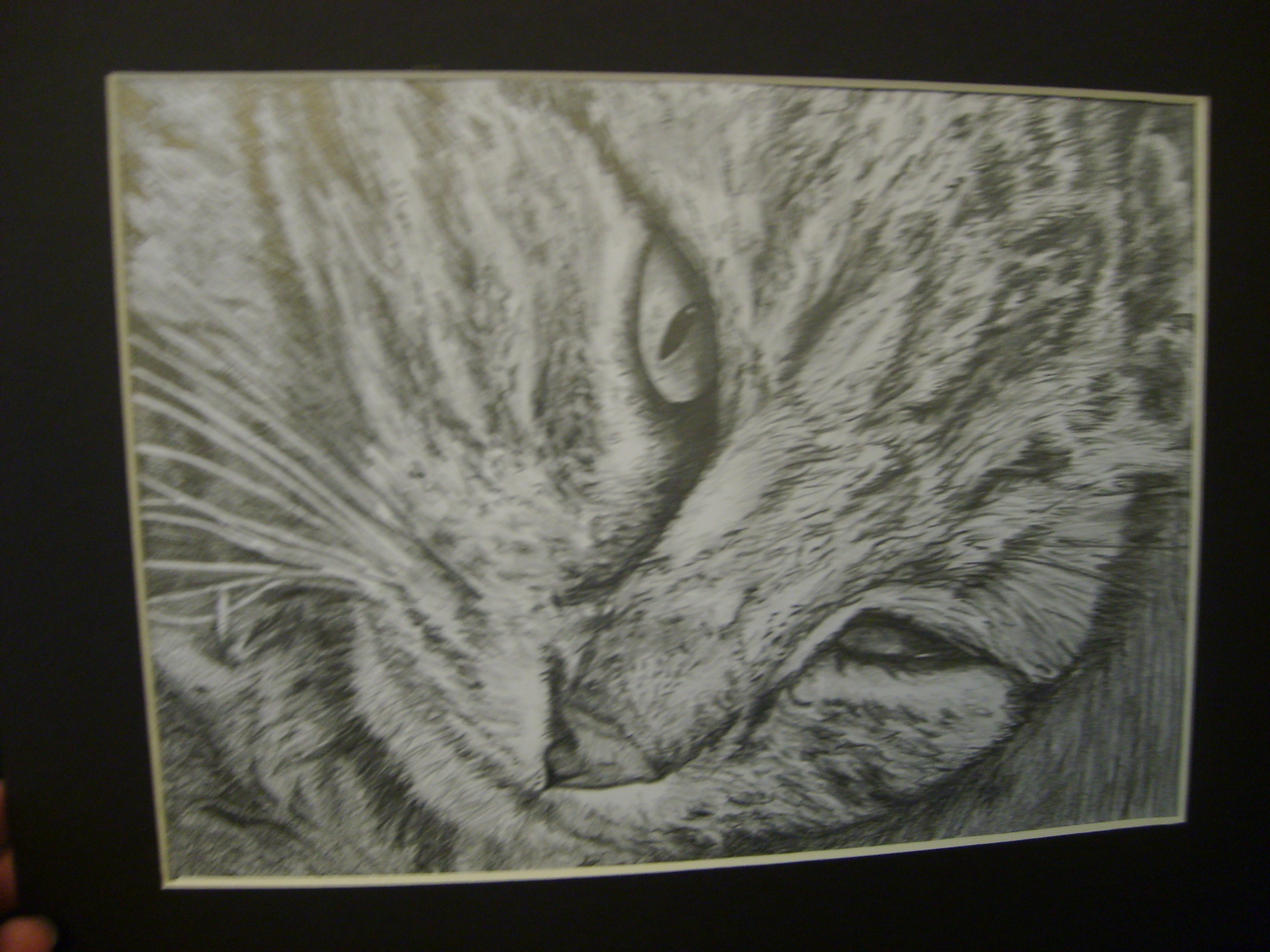 Custom cat portrait