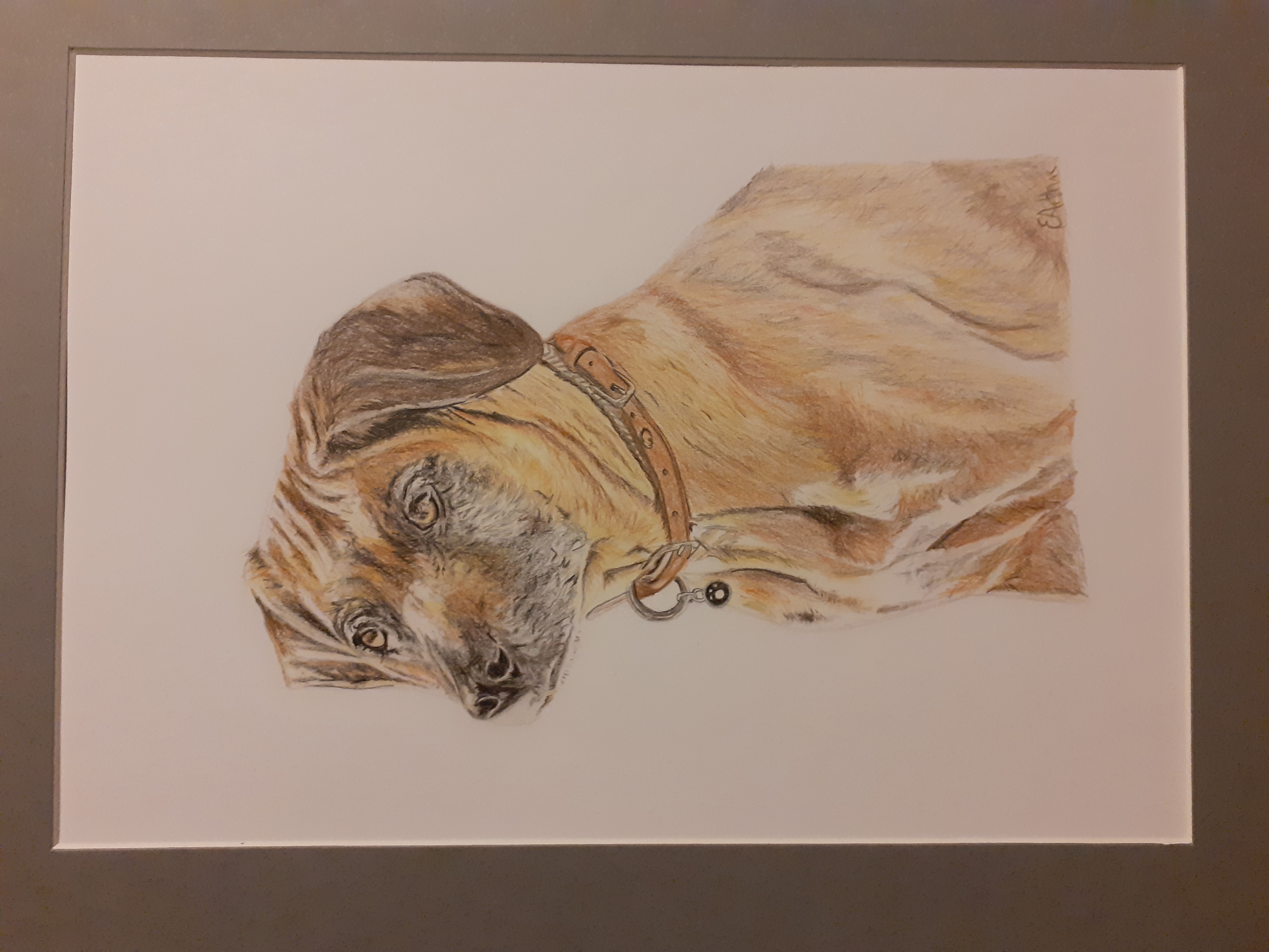 Custom dog portrait