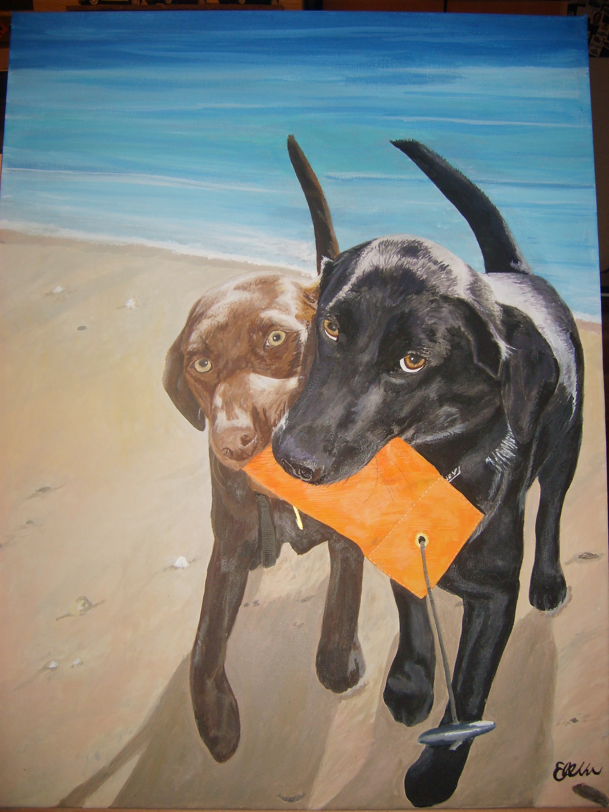 Custom dogs portrait