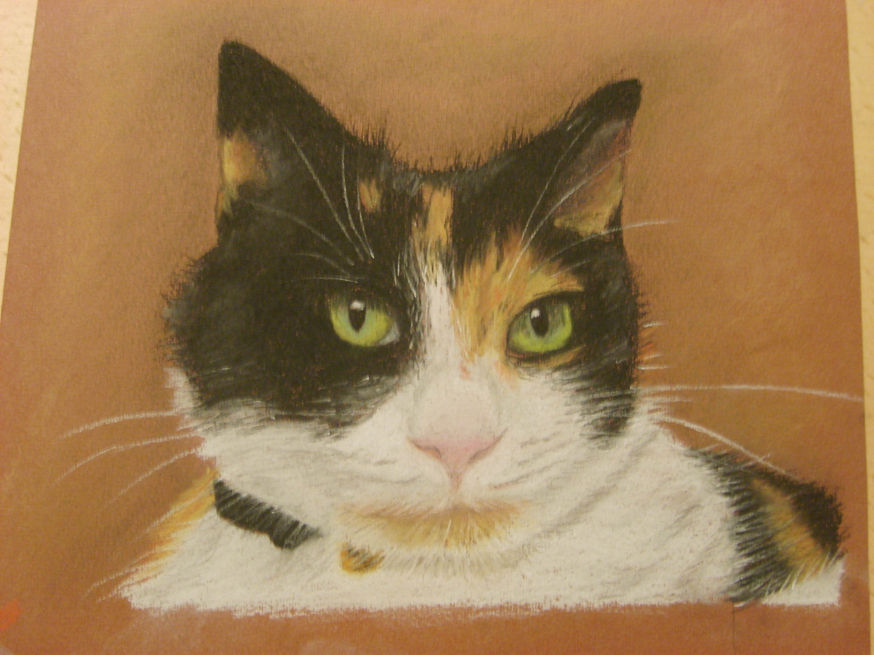 Custom cat portrait