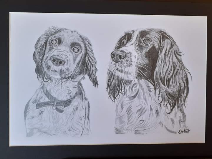 Custom dogs portrait