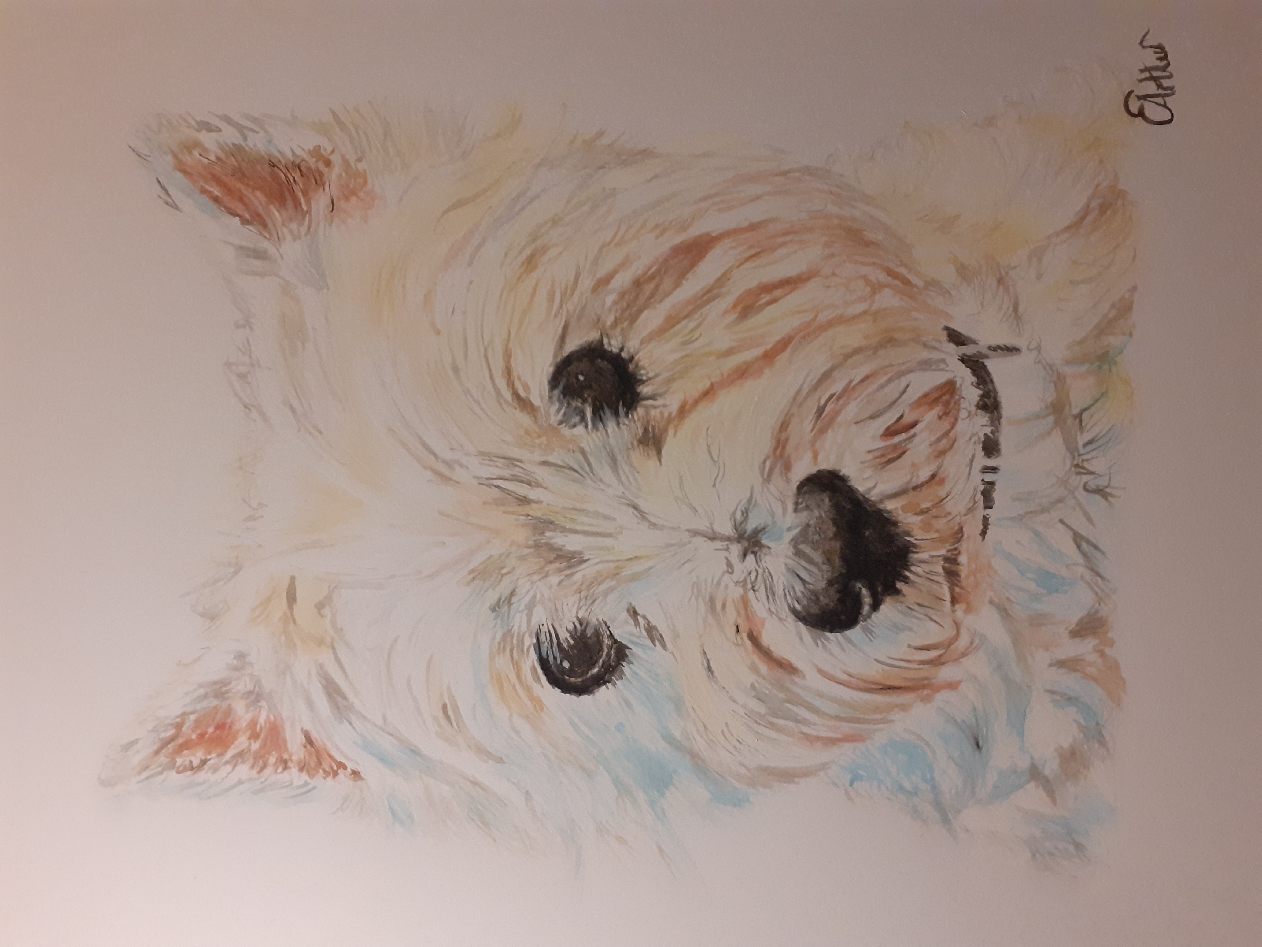 Custom dog portrait